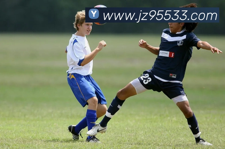 九州娱乐官网平台平台生态图